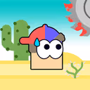 Dashy Run
