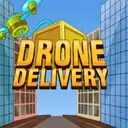Drone Delivery