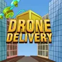 Drone Delivery
