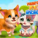 Funny Rescue Pet