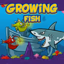 Growing Fish