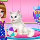 Kitty Care and Grooming