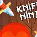 Knife Ninja