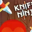 Knife Ninja