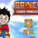 Prince and Caged Princess