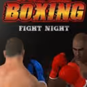 Super Boxing Fight Night