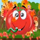 Tomato Explosion