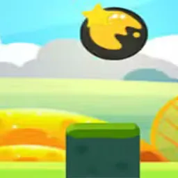 Bola