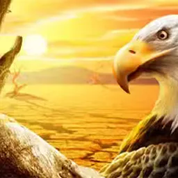 Eagle Slide