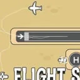 Flight Sim
