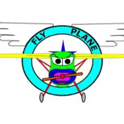 Fly Plane