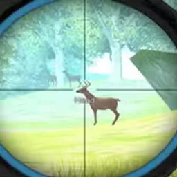 Hunter Training