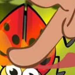 Insect Cush