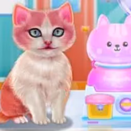Kitty Dental Caring