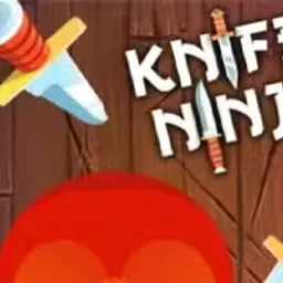 Knife Ninja