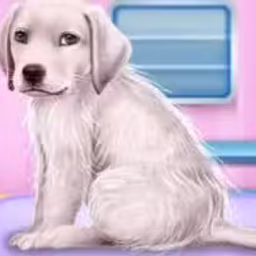Labrador at the Doctor Salon