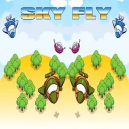 Sky Fly