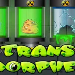 Transmorpher 1