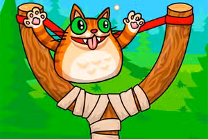Angry Cat Shot
