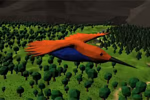 Bird Simulator