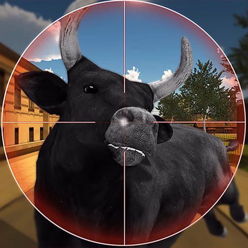 Bull Shooting