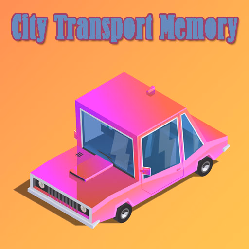 City Transport Memory