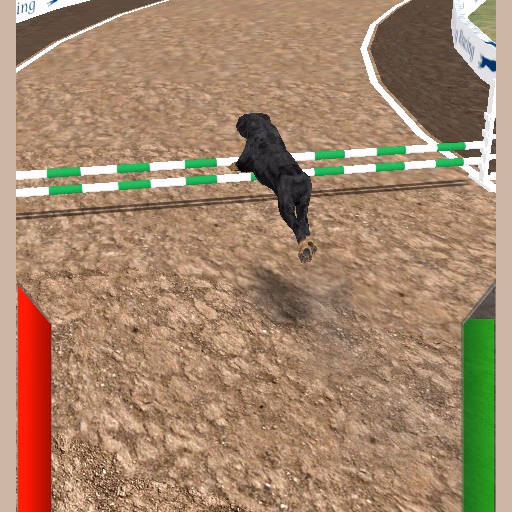 Dog Racing Simulator