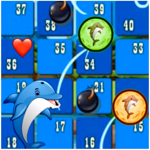 Dolphin Dice Race