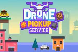 Drone Pickup Service