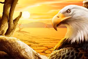 Eagle Slide