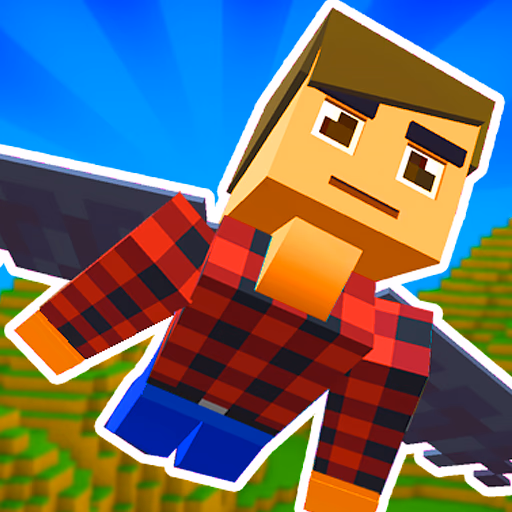 Elytra Flight