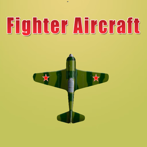Fighter Aircraft