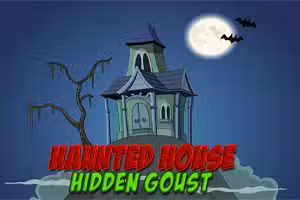Haunted House Hidden Ghost