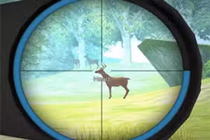 Hunter Training