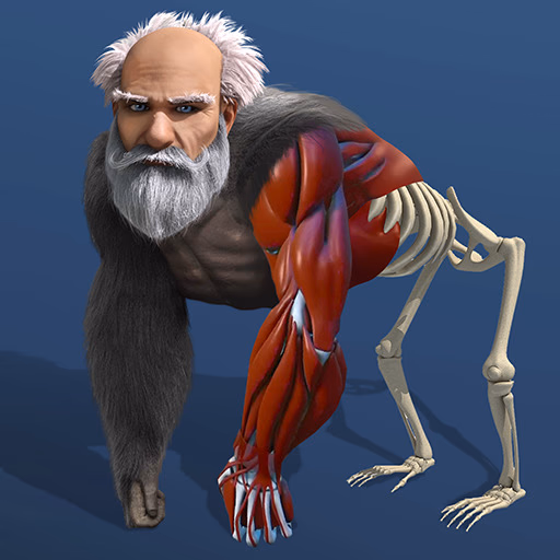 Idle Evolution From Cell to Human