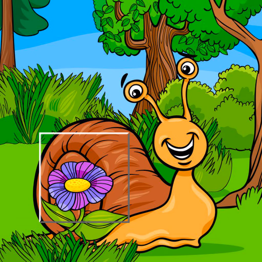 Insect Pic Puzzles