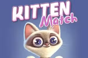 Kitten Match