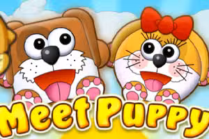 Meet Puppy
