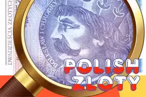 Money Detector Polish Zloty