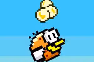 Pac Bird