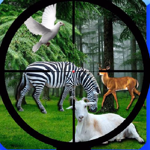Real Jungle Animals Hunting