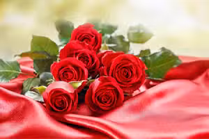 Red Roses Puzzle