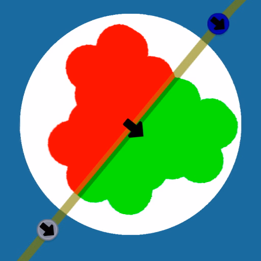 Reflection Symmetry