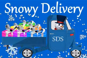 Snowy Delivery