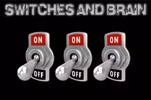 Switches and Brain