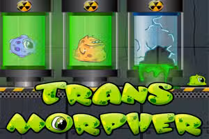 Transmorpher 1