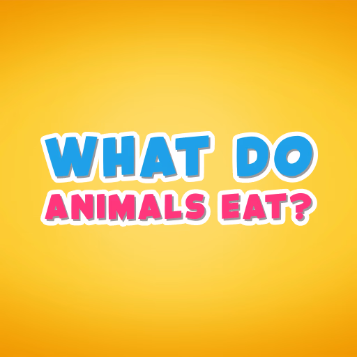 What do animals eat