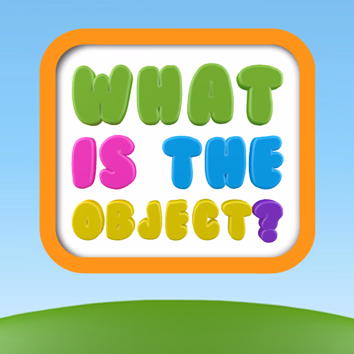 What The Objects