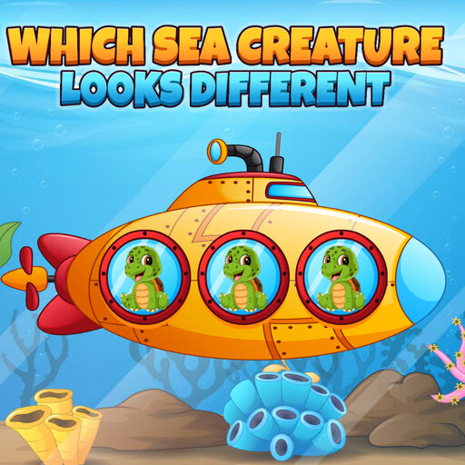 Which Sea Creature Looks Different