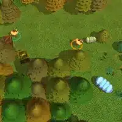 Worms Combat Coop